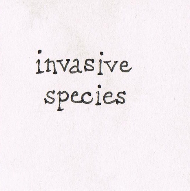 Invasive Species